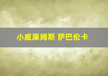 小威廉姆斯 萨巴伦卡